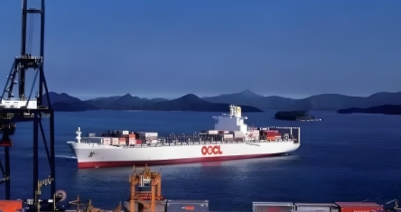 上海貨代行業(yè)不僅在國內(nèi)市場中占據(jù)重要地位，更在全球供應鏈中發(fā)揮著舉足輕重的作用